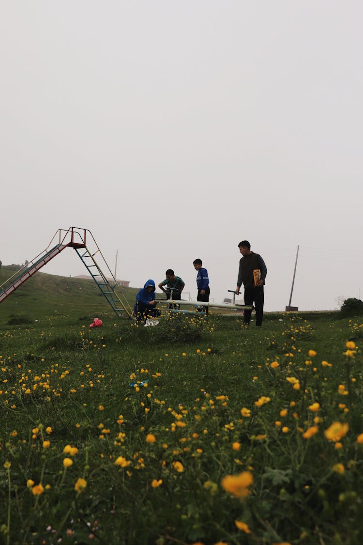 Children On Playground On Meadow With Flowers