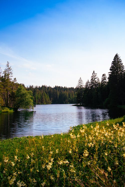 Kostnadsfri bild av blå sjö, natur, schweiz