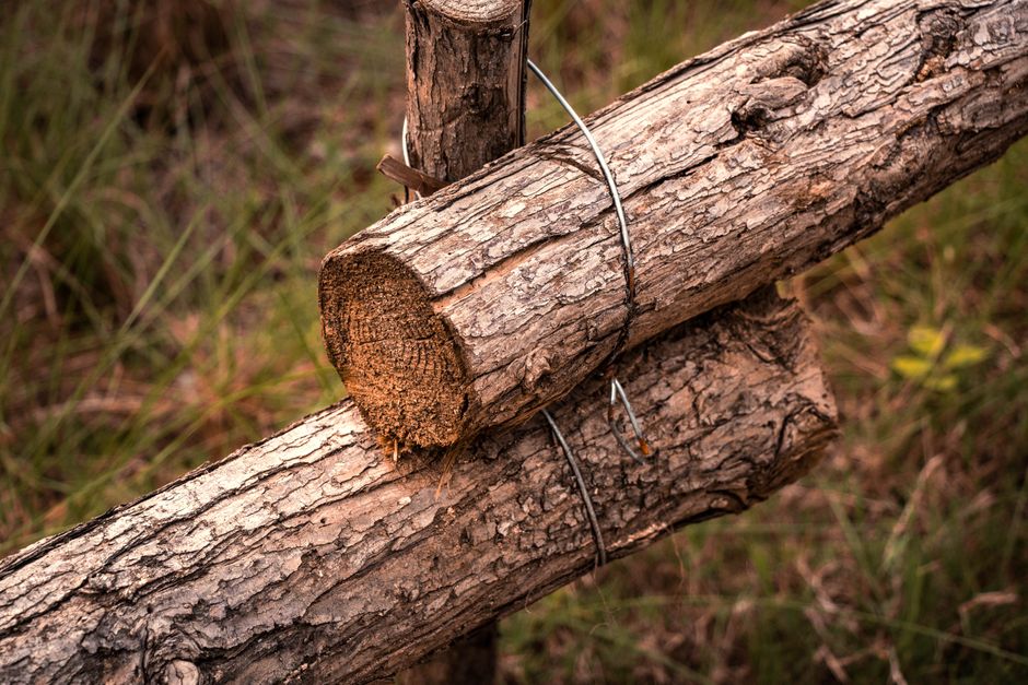 Close-up view of rustic wooden fence logs tied together with wire in an outdoor setting.