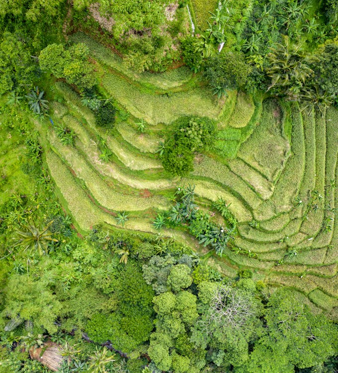 Gratis arkivbilde med ås, dronebilde, dronefotografi