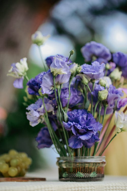 Darmowe zdjęcie z galerii z fioletowy, kwiaty, obfitość