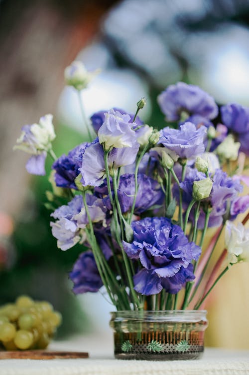 Darmowe zdjęcie z galerii z fioletowy, kwiaty, pionowy strzał