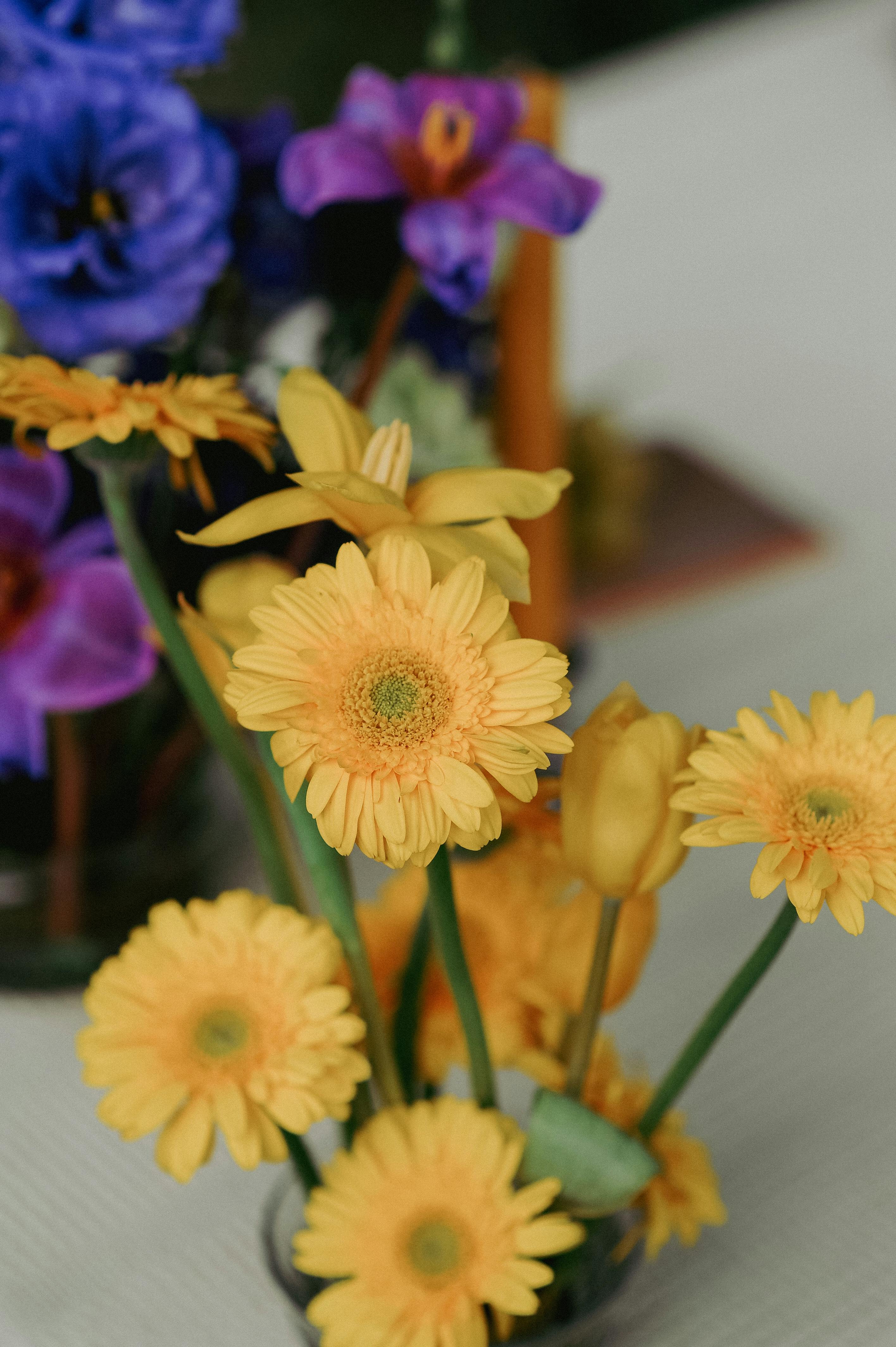 Free Vibrant yellow gerbera daisies arranged with other flowers on a table, creating a bright and decorative floral display. Stock Photo