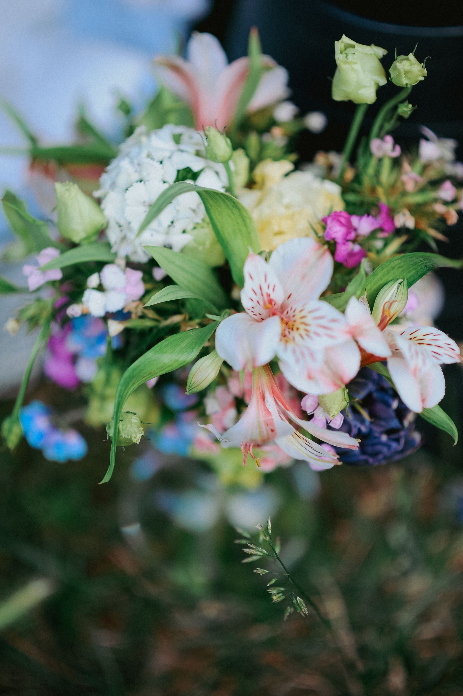 Esorted Flower Close-Up Photo of Assorted Flowers · Free Stock Photo