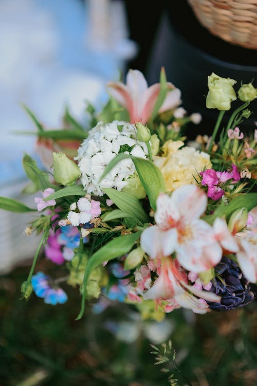 Foto d'estoc gratuïta de arranjament floral, bellesa, brillant