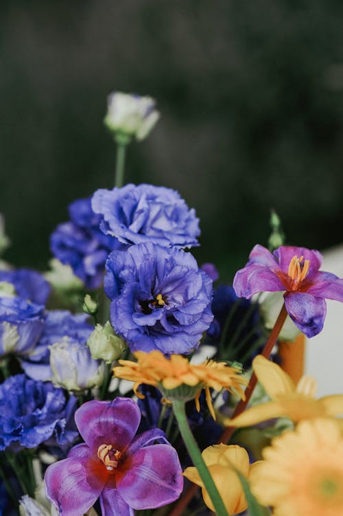 一束花, 垂直拍攝, 多色的 的 免費圖庫相片