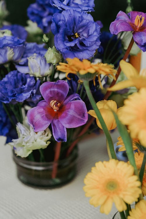 Photos gratuites de bouquet de fleurs, brillant, coloré