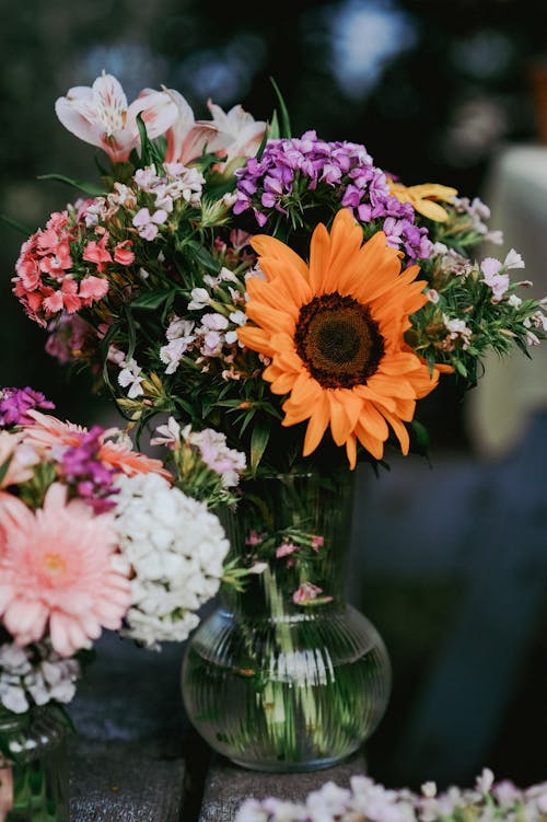 Fotos de stock gratuitas de arreglo floral, brillante, colorido