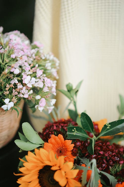 Darmowe zdjęcie z galerii z bukiet kwiatów, dekoracja, flora