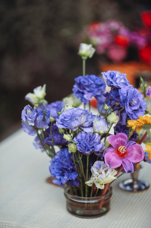 Foto stok gratis bejana, biru, bunga-bunga