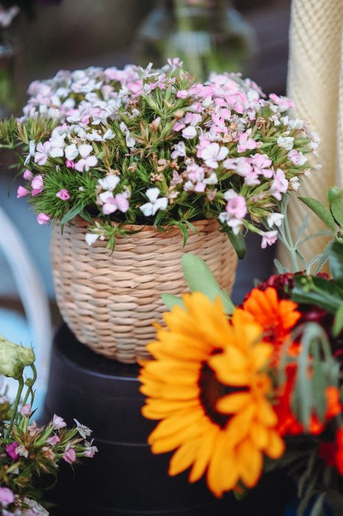 Free Beautiful pink and orange flowers in a woven basket create a vibrant still life. Stock Photo