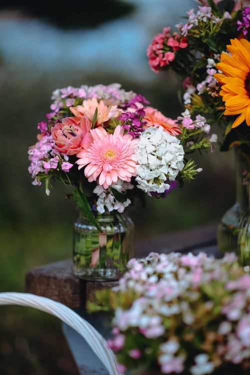 Free A vibrant arrangement of flowers in a glass jar outdoors with sunlight filtering through. Stock Photo
