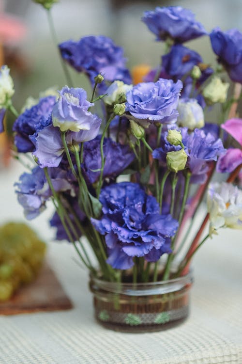 Imagine de stoc gratuită din aranjament floral, buchet, decorațiune