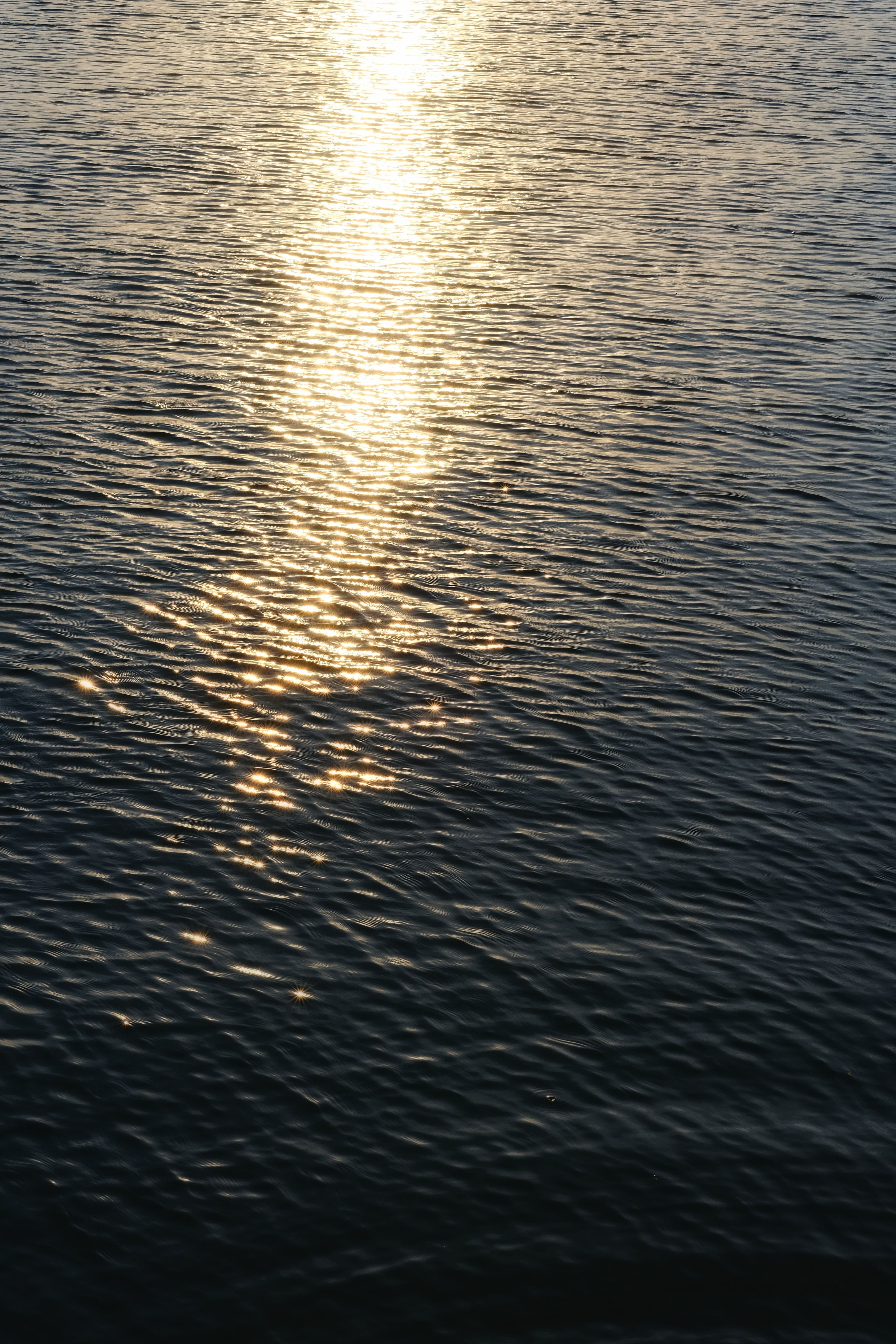 Reflection of the Sunlight in the Sea Surface · Free Stock Photo