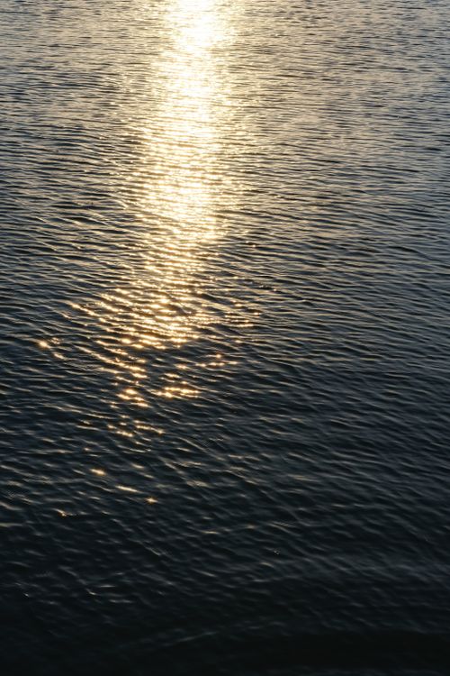 Free Golden sunlight reflects on the ocean surface during a tranquil sunset. Stock Photo