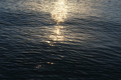 Sun Reflection in a Lake