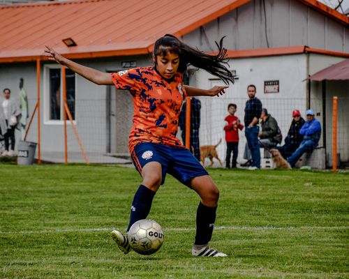 Free A young female athlete playing football on a field with spectators watching. Stock Photo