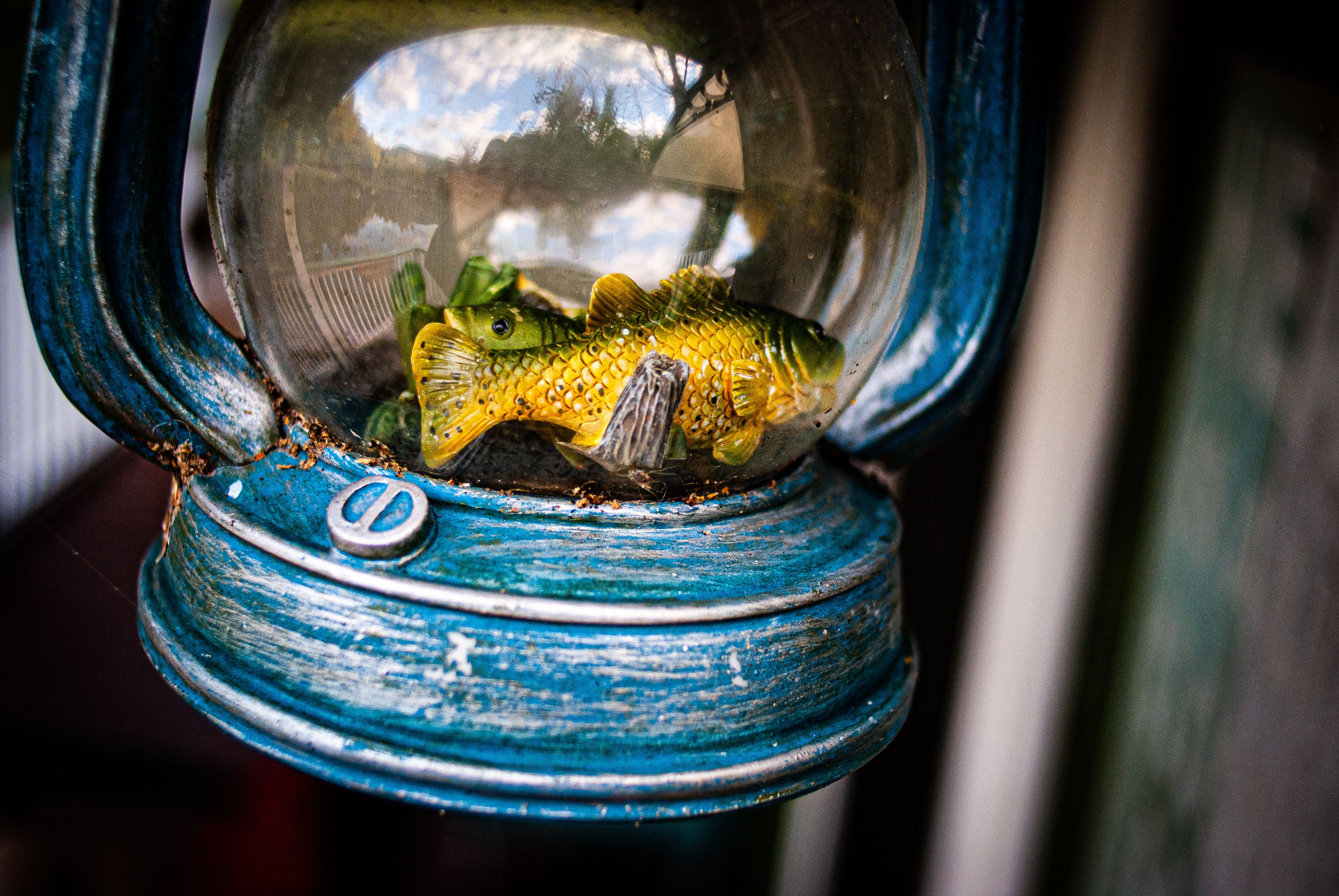 Close-up of a vintage lantern with a decorative fish figurine inside, reflecting a serene outdoor view.