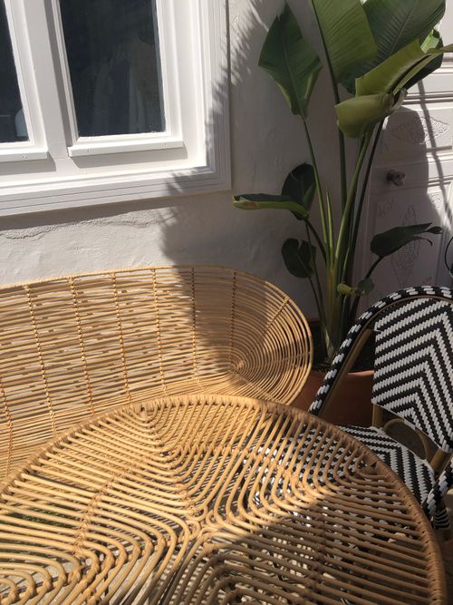 Free Wicker seating and green plant basking in sunlight near a window, perfect for modern interiors. Stock Photo