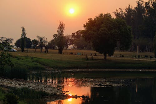 Gratis lagerfoto af flot natur, gylden solnedgang