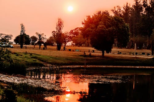 Gratis lagerfoto af flot natur, gylden solnedgang, smuk solnedgang