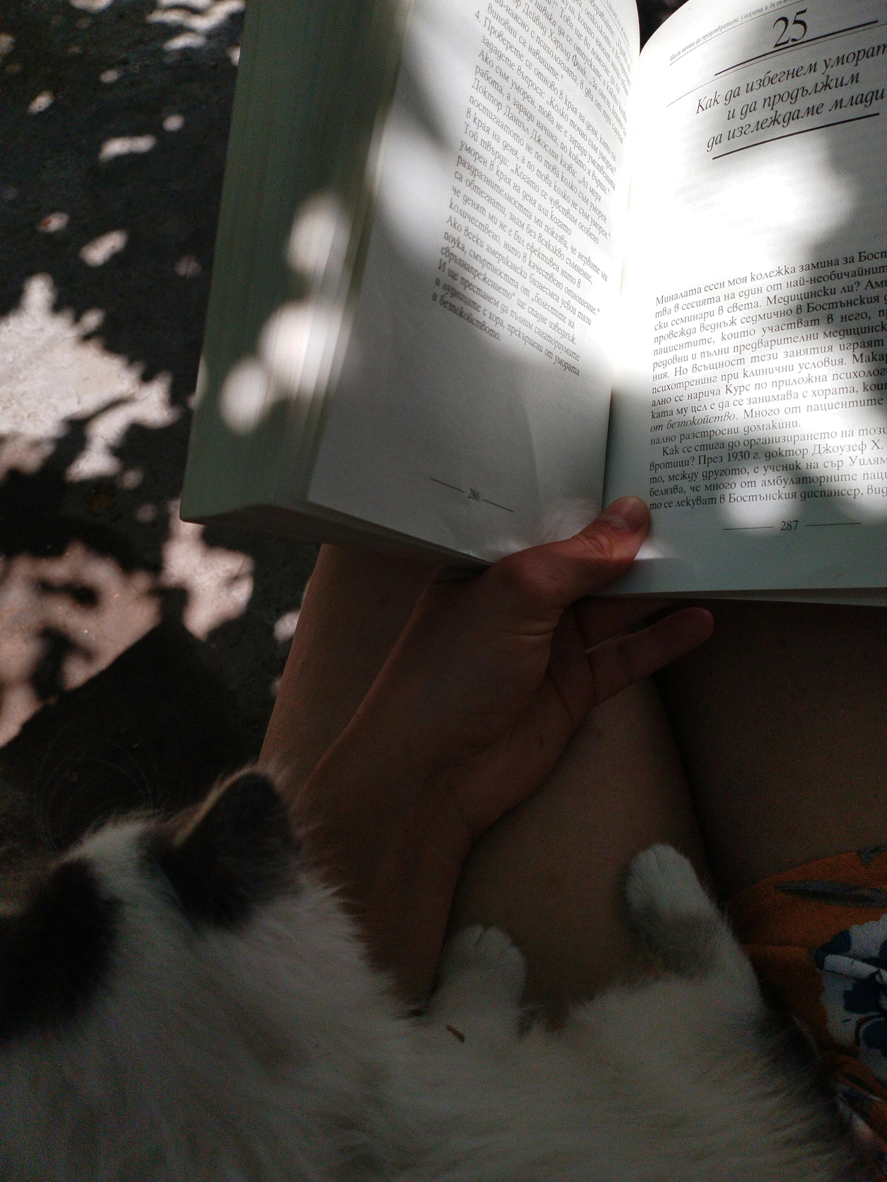 A young woman reading under dappled sunlight with a cat in her lap.