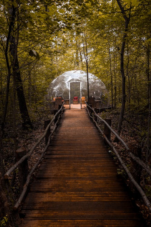 Fotobanka s bezplatnými fotkami na tému bublina, glamping, jeseň