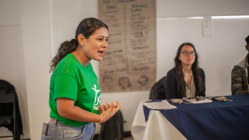 Nonprofit leader speaking at a board meeting