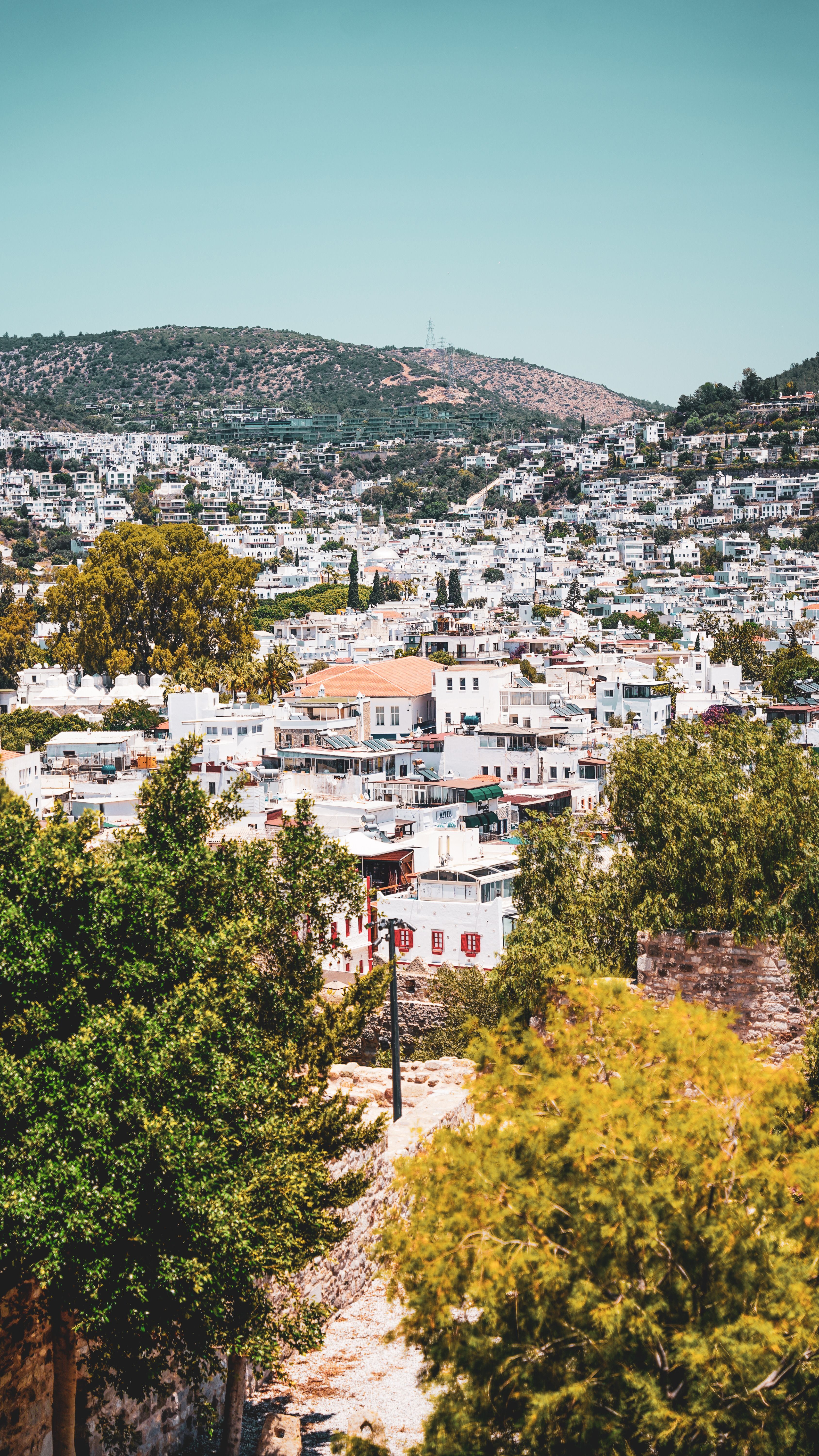 A picturesque cityscape of Bodrum featuring whitewashed buildings and lush greenery under a clear sky.