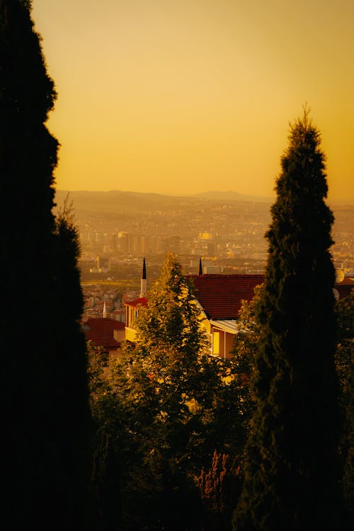 Foto d'estoc gratuïta de ankara, arbres, ciutat