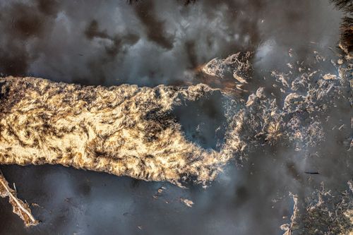Free Aerial photo depicting algae and pollution in a waterway, showcasing environmental concerns. Stock Photo