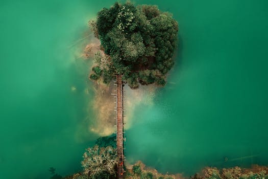 Stunning aerial shot of a wooden bridge leading to a tree-covered island in vibrant green waters.