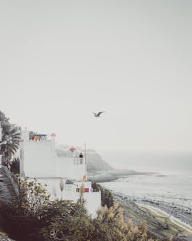 海滨小镇上空，一只孤独的鸟在宁静的沿海场景中翱翔