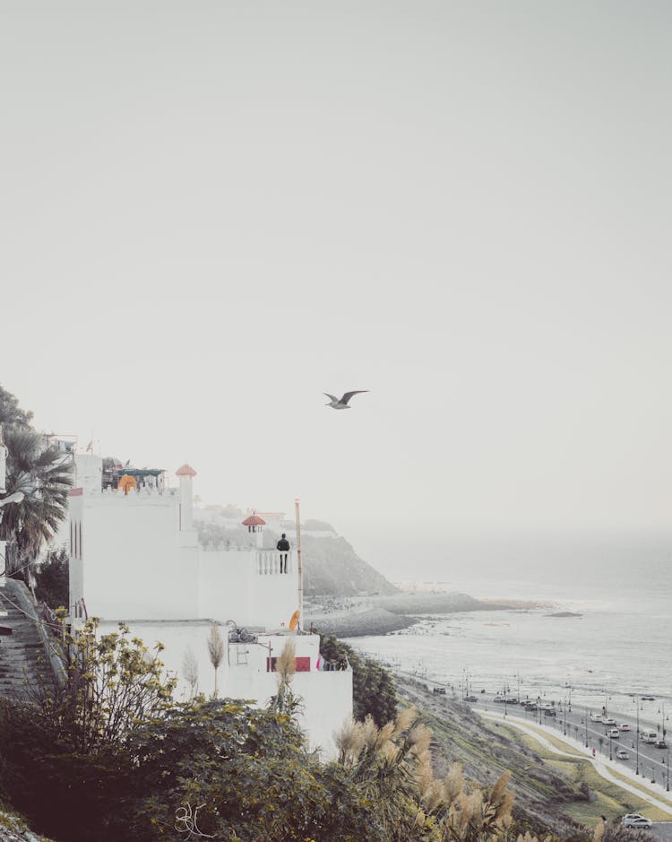 Bird Flying Above The House