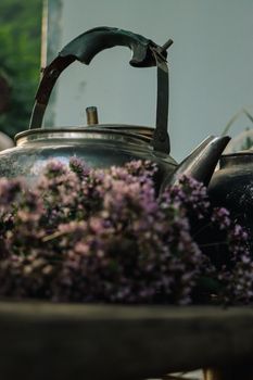 A rustic metal teapot surrounded by blooming purple flowers in an outdoor garden scene.