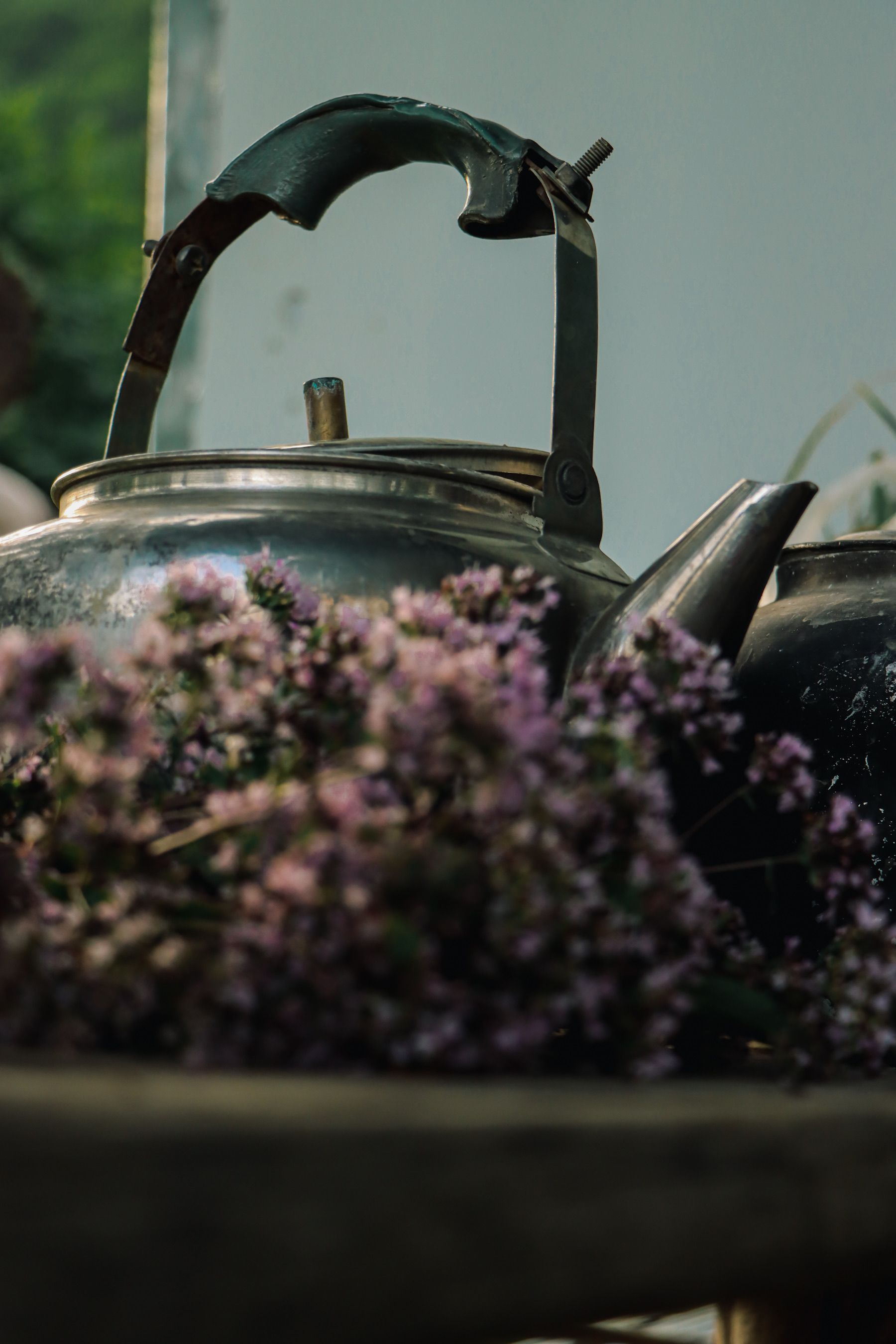 A silver tea pot and some purple flowers · Free Stock Photo