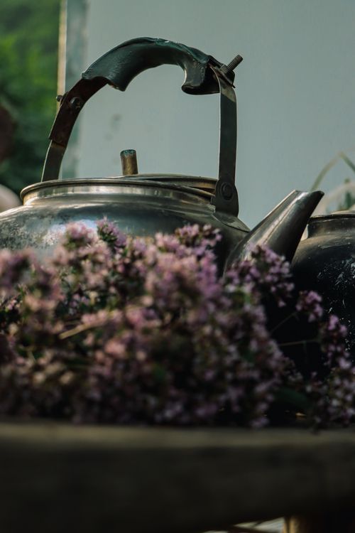 Free A rustic metal teapot surrounded by blooming purple flowers in an outdoor garden scene. Stock Photo