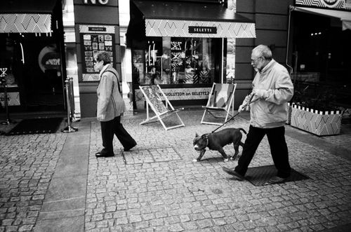 Free An elderly couple strolls down a city street with their dog, capturing urban life in black and white. Stock Photo