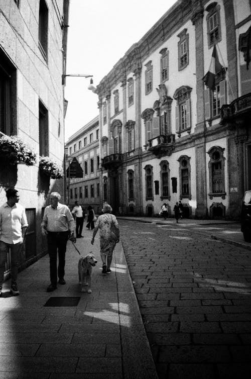 Immagine gratuita di bianco e nero, case a schiera, centro storico