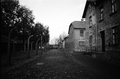 Black and White Photo of Auschwitz Concentration Camp