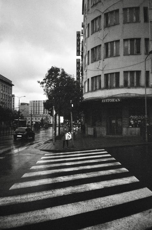 Black and White Picture of a Crosswalk in City 