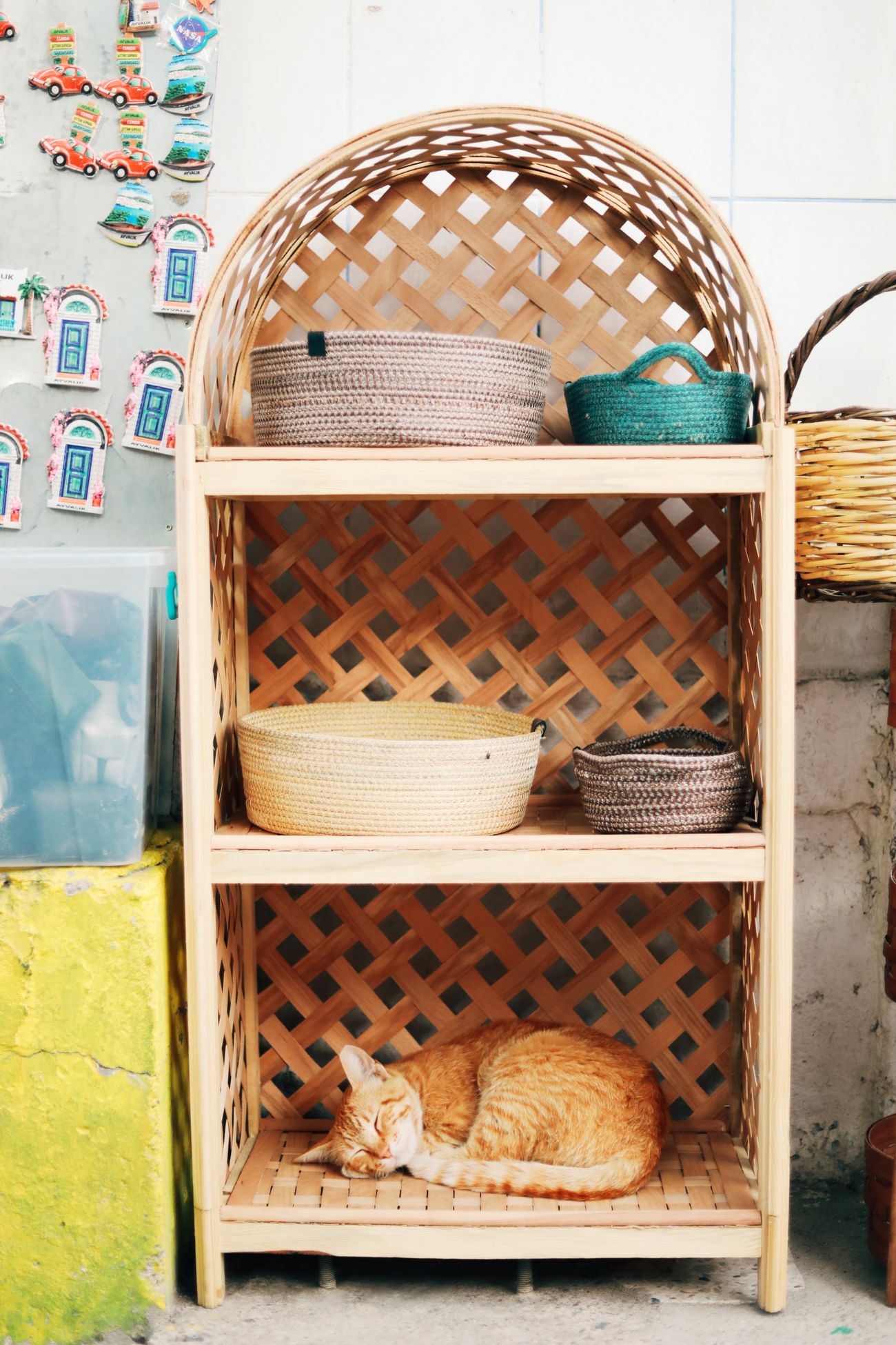 収納棚の近くで猫が休んでいる室内
