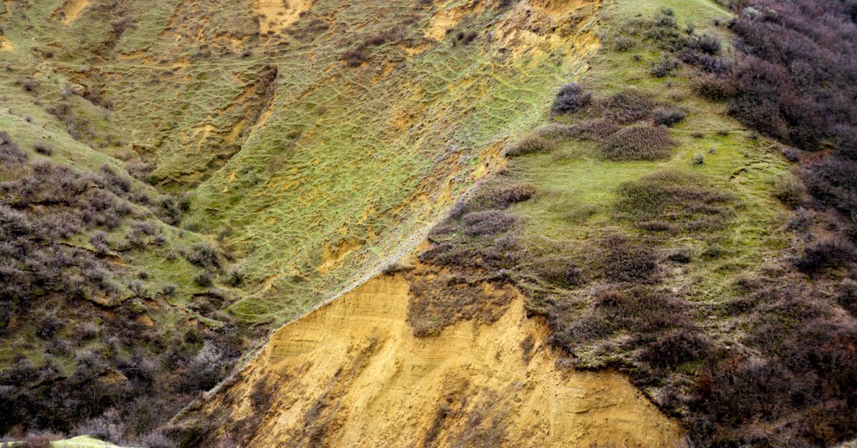 Aerial view of an eroded hillside with lush greenery and sparse bushes.