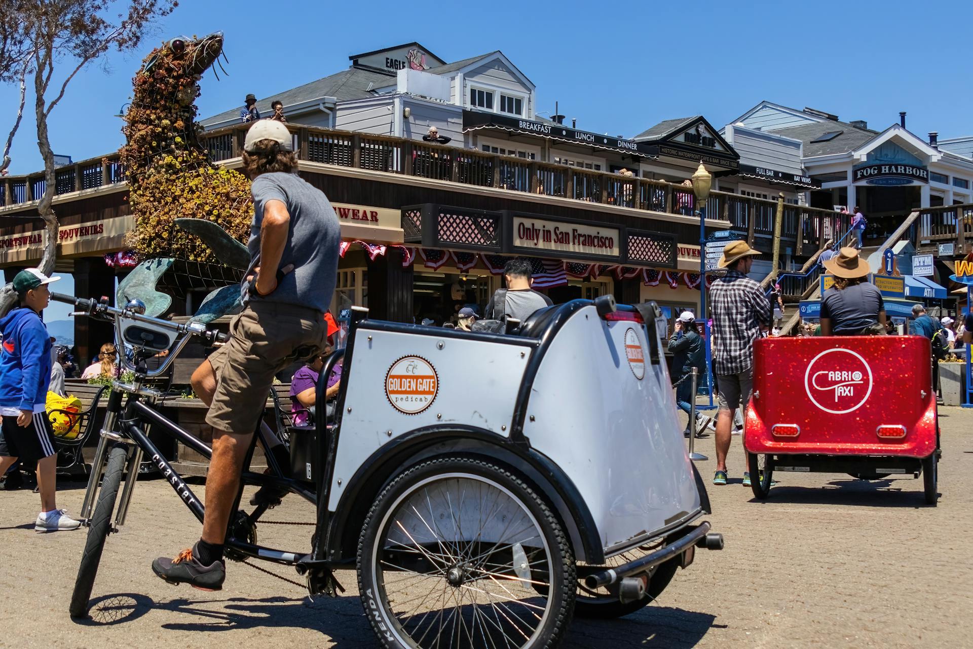 Vibrant street view at San Francisco Pier featuring bicycles and tourists on a sunny day.