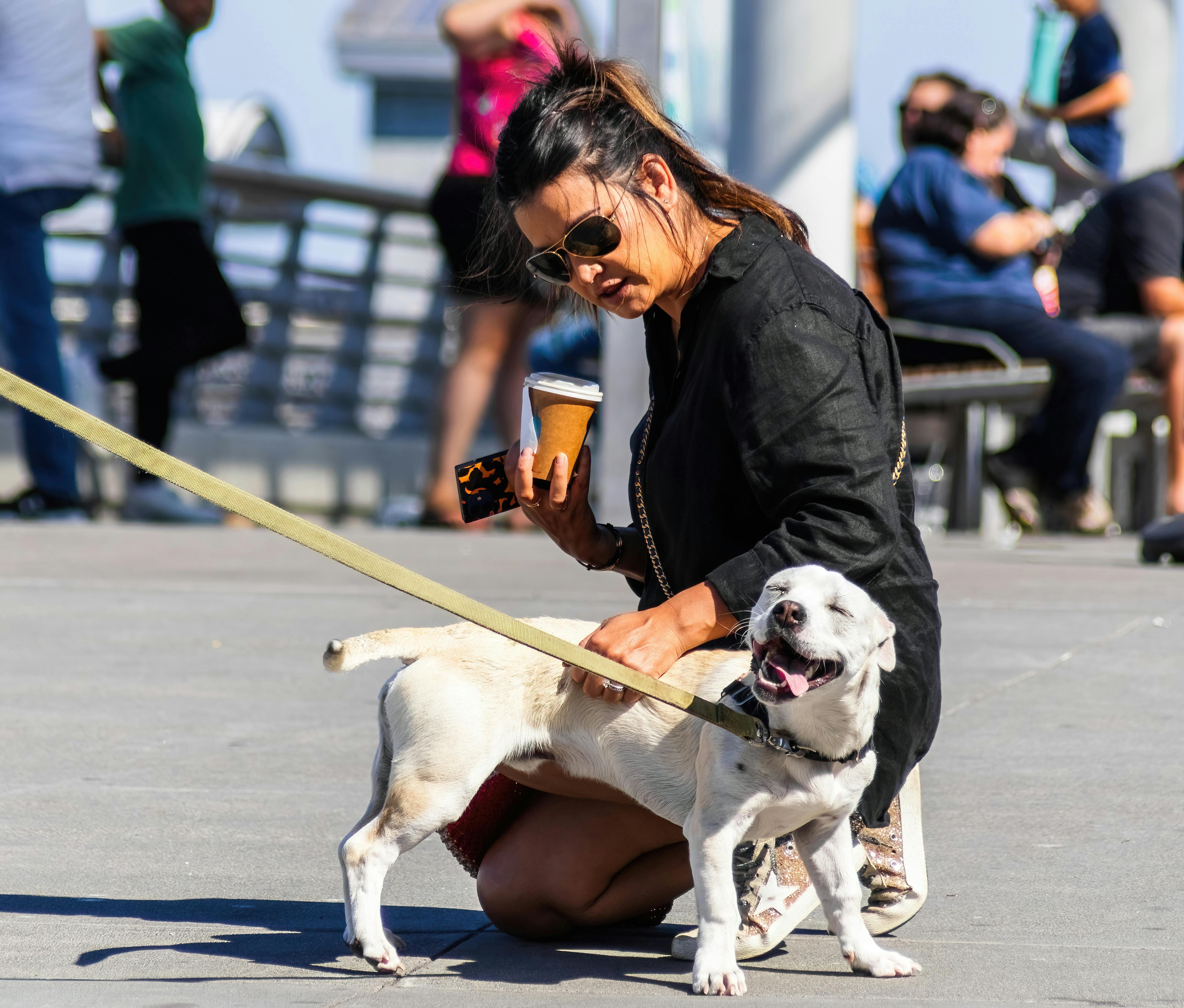 pet lifestyle pets lifestyle — Photo by Robert So on Pexels