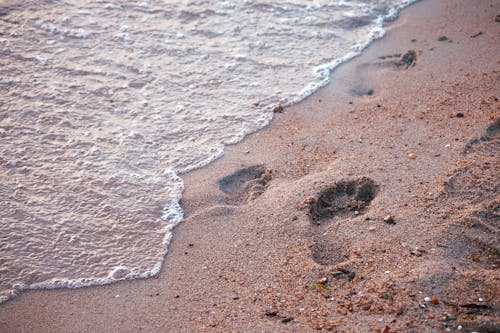Darmowe zdjęcie z galerii z morze, piasek, plaża