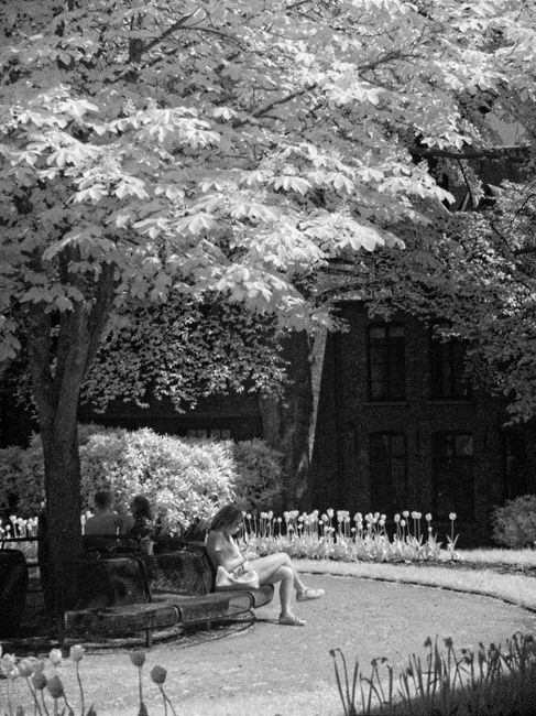 Black and white scene of people sitting on benches in a peaceful urban park.