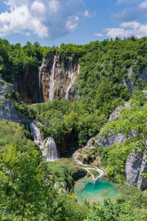 Foto profissional grátis de amazing, árvores, cachoeiras