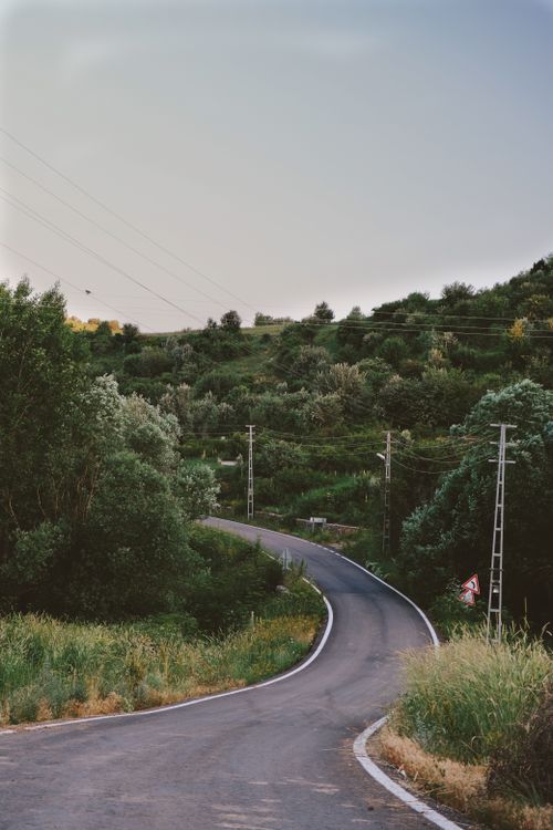 Free Scenic winding road through a verdant forest landscape, ideal for travel themes. Stock Photo
