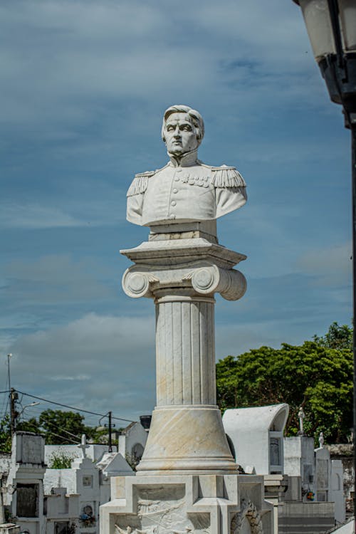 Free Bust of a Man on the Tomb in the Cemetery  Stock Photo